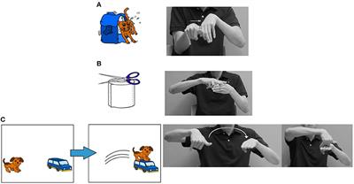 Acquisition of Classifier Constructions in HKSL by Bimodal Bilingual Deaf Children of Hearing Parents